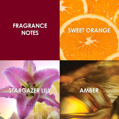 Click to view full size image
==============
2023
2023