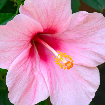 Click to view full size image
==============
Z-188941.jpg Z-188941.jpg