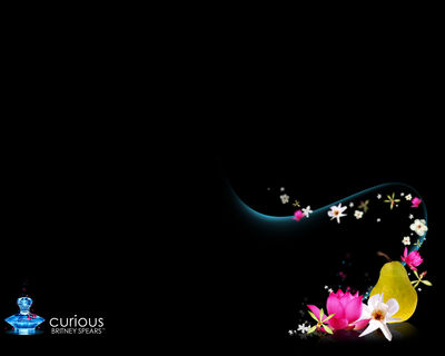 Click to view full size image
==============
1349605801_curious_1280x1024.jpg 1349605801_curious_1280x1024.jpg