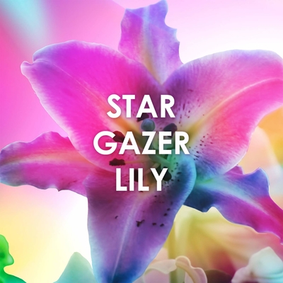 Click to view full size image
==============
81t2BWHpAvfL.jpg 81t2BWHpAvfL.jpg