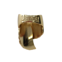 ring_back_store.png